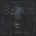 GODTHRYMM - REFLECTIONS LP