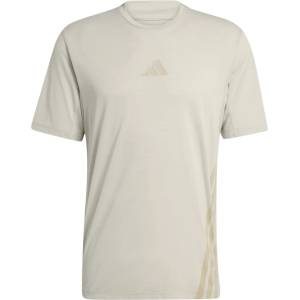 adidas Terrex Мъжка спортна тениска adidas Terrex XPR Tee Sport shirt - Wonder Alumina (216-7562-0312)