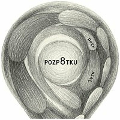 Petr Nikl - Pozp8tku CD