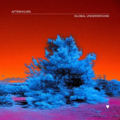 Various Artists - Global Underground - Afterhours 9 LP