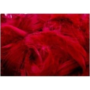 Brewista Decorative feathers red 7g