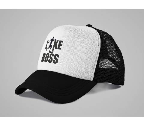 Like a boss