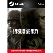 Insurgency