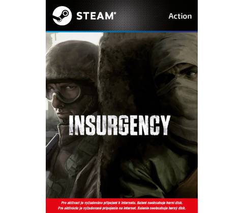 Insurgency