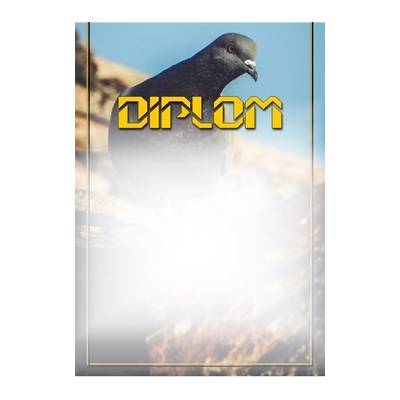 diplom 42
