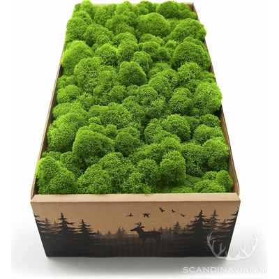 Stabilizovaný fínsky (sobí) mach 250g- May Green