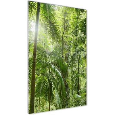 Vertikálny foto obraz sklenený Dažďový prales 50x100 cm