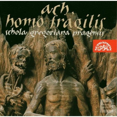 NOSKAIOVA PETRA: ACH, HOMO FRAGILIS CD