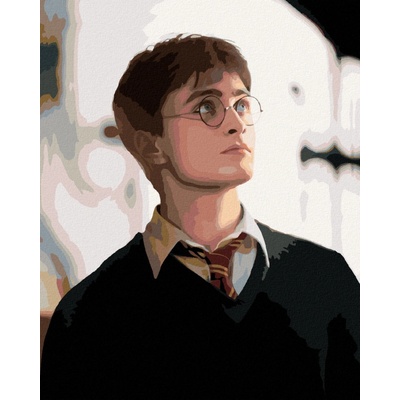 ZUTY Malování podle čísel PORTRÉT HARRY POTTER