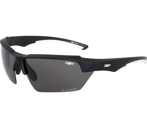 3F Vision Version 1761