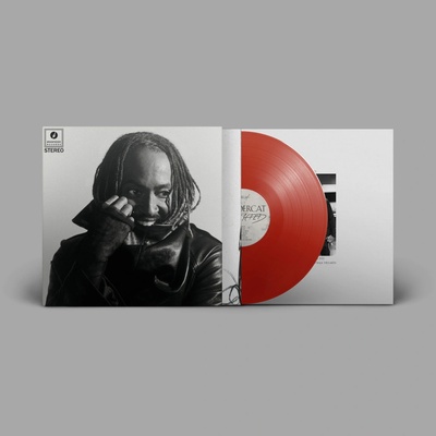 THUNDERCAT - DISTRACTED LP