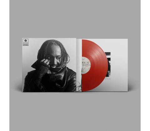 THUNDERCAT - DISTRACTED LP