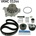 SKF VKMC01244