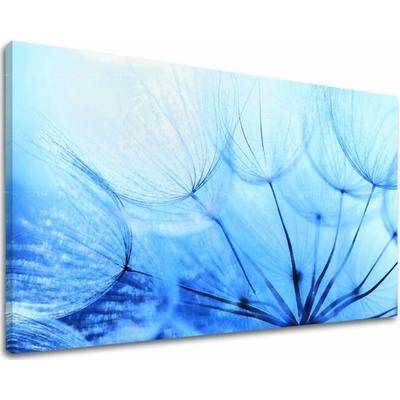 Obraz na stenu KVETY - 80x120 cm