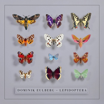 Dominik Eulberg, LEPIDOPTERA, CD