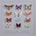 Dominik Eulberg, LEPIDOPTERA, CD