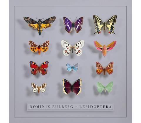 Dominik Eulberg, LEPIDOPTERA, CD