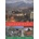 Afganistan