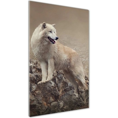 Vertikálny foto obraz sklo tvrdené Vlk na skale 50x100 cm