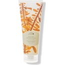 100% Pure Shampoo pro objem vlasů Chaluhy a Máta 236 ml