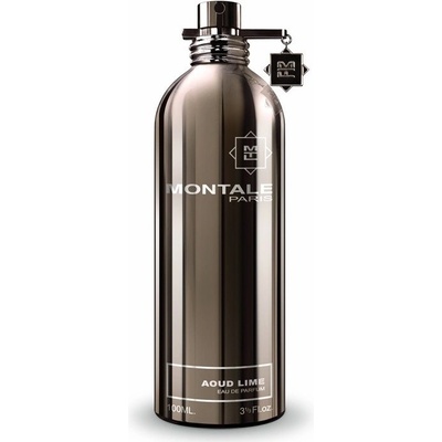 Montale Paris Aoudu Lime toaletná voda unisex 100 ml