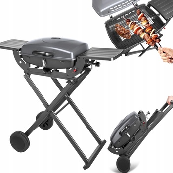 TEESA BBQ 1000