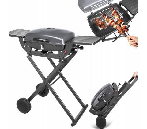 TEESA BBQ 1000