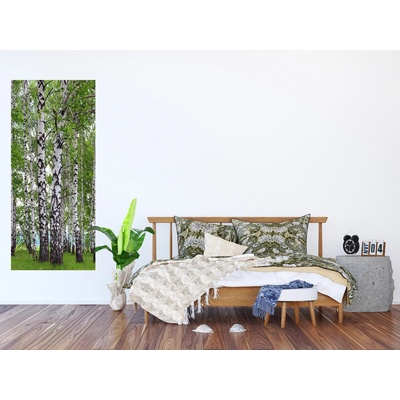 AG Design FTNV-2896 vliesová fototapeta Břízy rozměry 90 x 202 cm