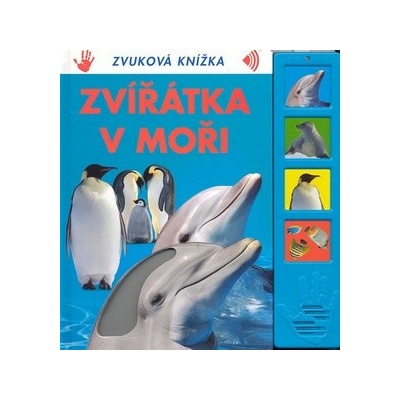 Zv ířátka v moři