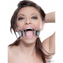 Roubík Spider gag