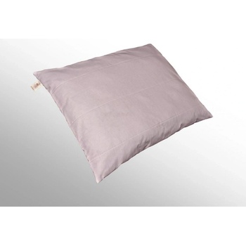 2G Lipov Vankúš Fillip standard 900g zip 70x90