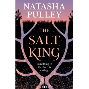 The Salt King (ISBN: 9781399632973)