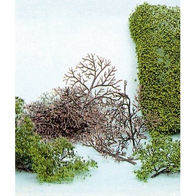 Heki Kittler 15 keřů list 1530 – Hledejceny.cz