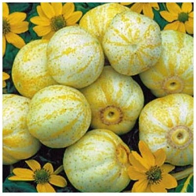 BIO uhorka Lemon - Cucumis sativus - predaj bio semien - 8 ks