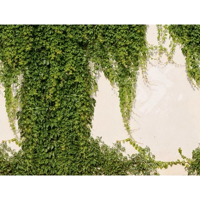 A.S. Création 392271 vliesová tapeta značky Livingwalls rozměry 2.80 x 3.71 m