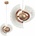 Toolight OSW-60049