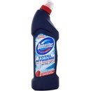 Domestos Total Hygiene Ocean fresh dezinfekčný WC gél 700 ml