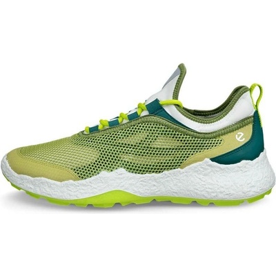 Ecco Golf Biom H5 Mens green