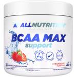 ALLNUTRITION BCAA Max Support [250 грама] Ягода