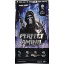 Skull Labs Perfect Amino 15 g