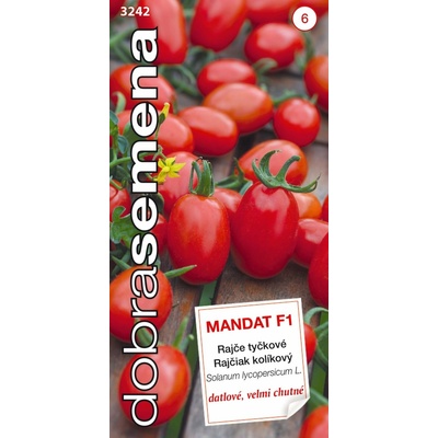 ZC Paradajka tyčková datľová Mandat F1 10s