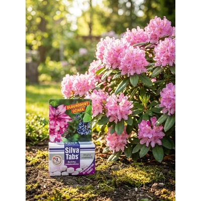 Silva Tabs Borůvky, rododendrony 250g – Hledejceny.cz