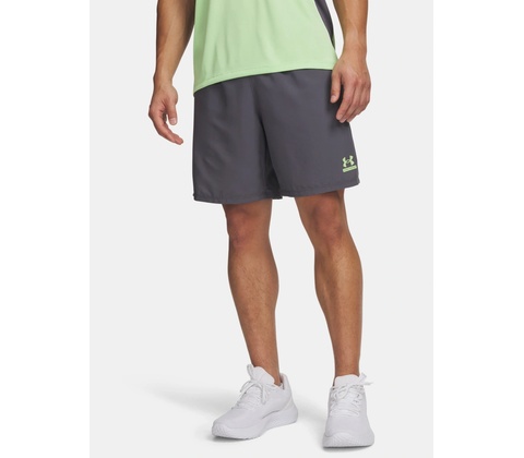 Under Armour UA Tech šedá