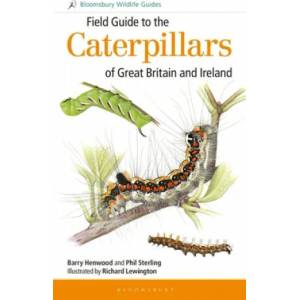 Field Guide to the Caterpillars of Great Britain and Ireland | Phil Sterling, Barry Henwood (ISBN: 9781472933560)