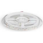 V-TAC SMD 3528 6500K (212005)