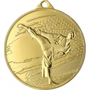 Medaile Karate