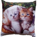 Dadka vankúš biele a hnědé kotě 40x40