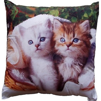 Dadka vankúš biele a hnědé kotě 40x40