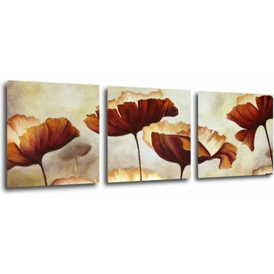 Impresi Obraz Malované květiny - 90 x 30 cm (3 dílný)