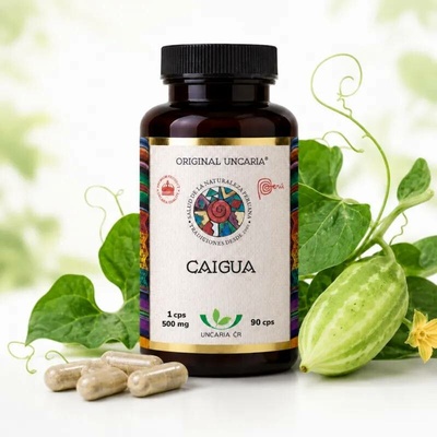 Original Uncaria Caigua Gelatinizovaná 90 kapslí